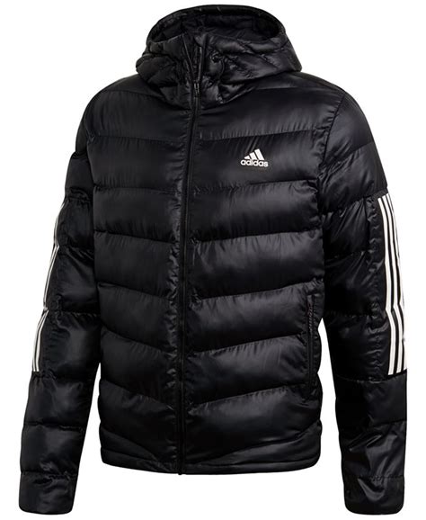 adidas Jackets products for sale 